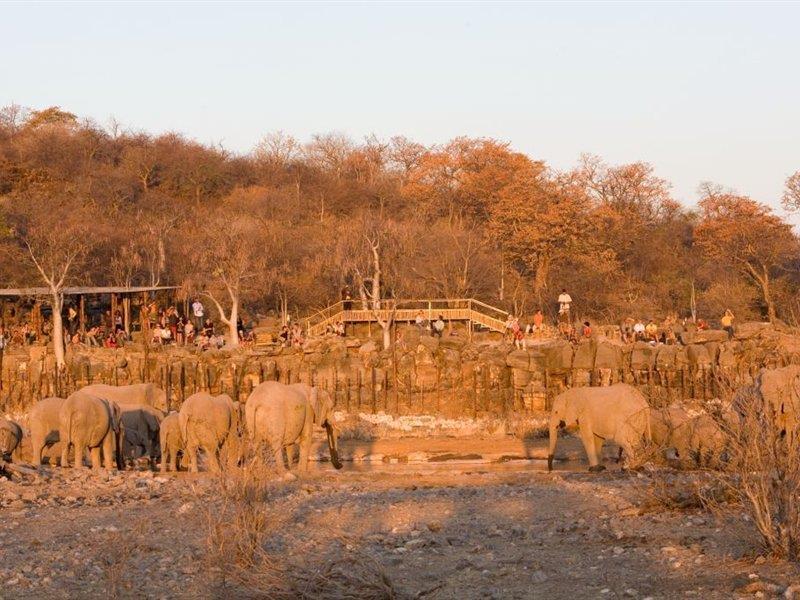 Halali Camp Hotel Etosha Bagian luar foto